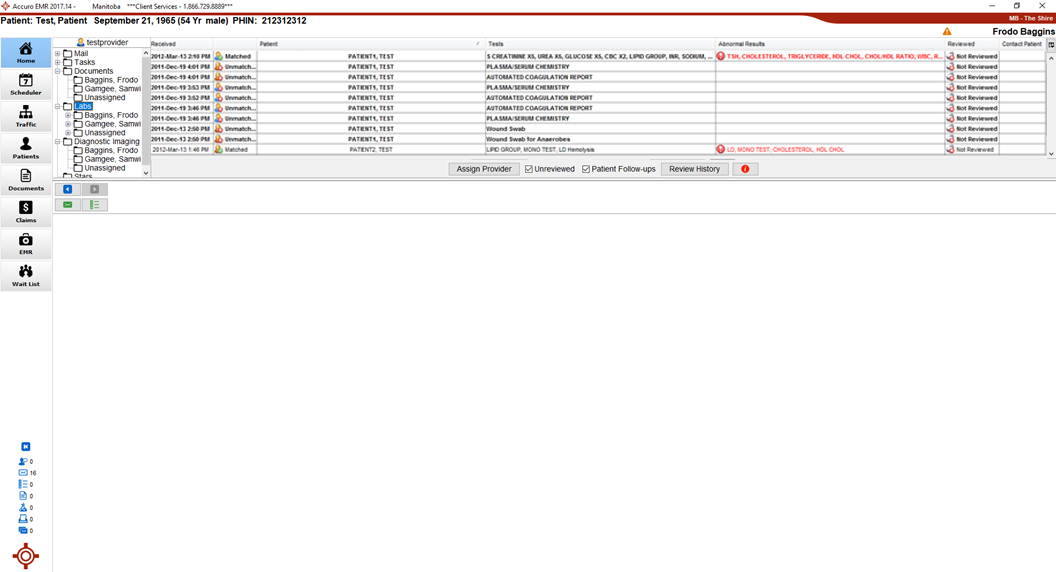 DI/DSM Display Addendum to Accuro EMR User Guide (WRHA Only)